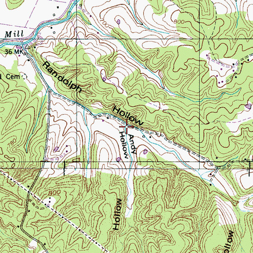 Topographic Map of Andy Hollow, TN