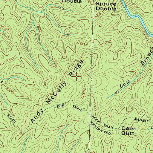 Topographic Map of Andy McCully Ridge, TN