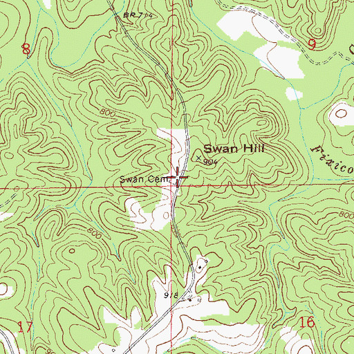 Topographic Map of Swan Cemetery, AL