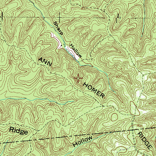 Topographic Map of Ann Homer, TN