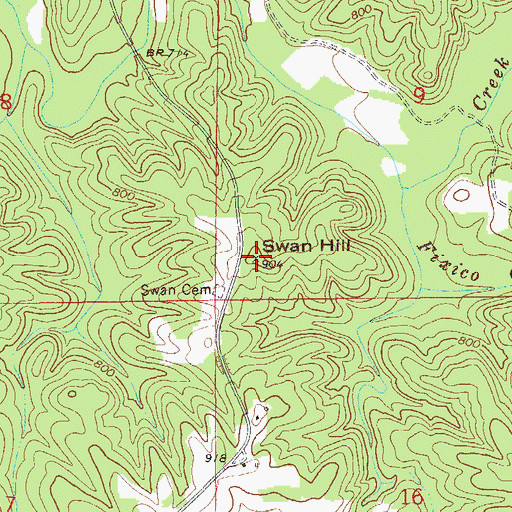 Topographic Map of Swan Hill, AL