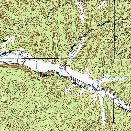 Topographic Map of Apple Orchard Hollow, TN
