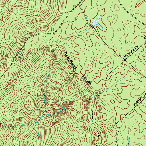 Topographic Map of Armfield Bluff, TN