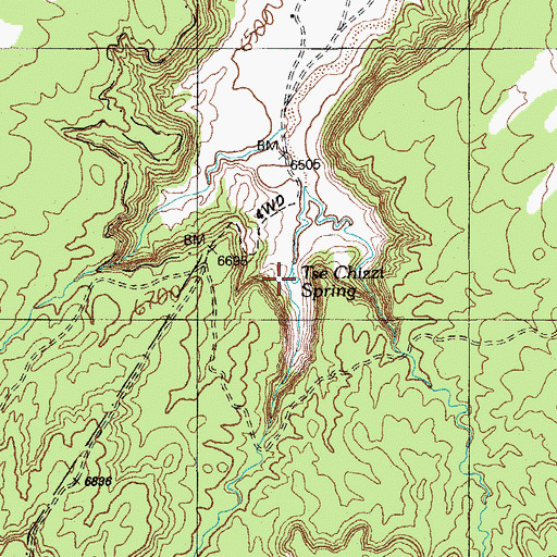 Topographic Map of Tse Chizzi Spring, AZ