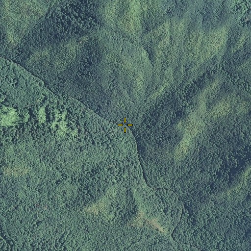 Aerial/Satellite Image of Arrowhead Branch, TN