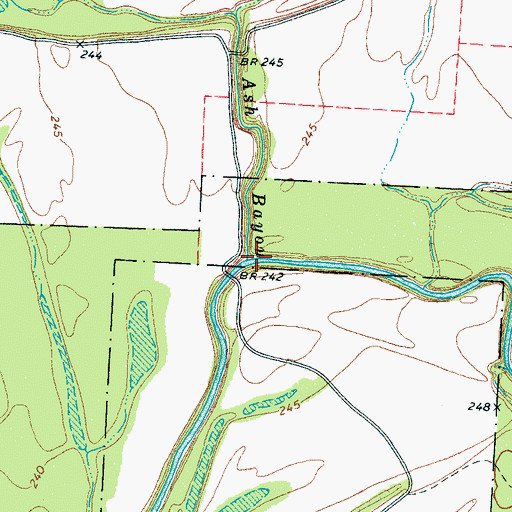 Topographic Map of Ash Bayou, TN