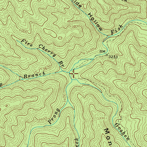Topographic Map of Ash Camp Branch, TN