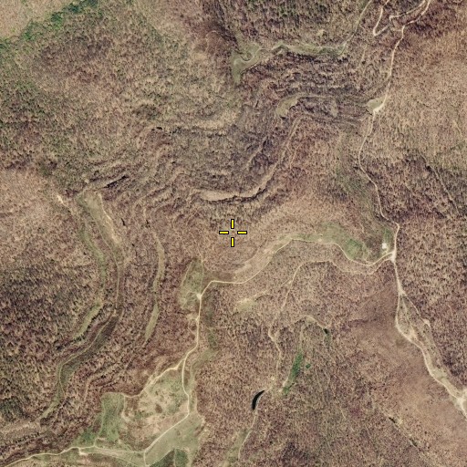 Aerial/Satellite Image of Ash Log Mountain, TN