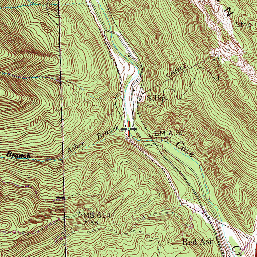 Topographic Map of Asher Branch, TN