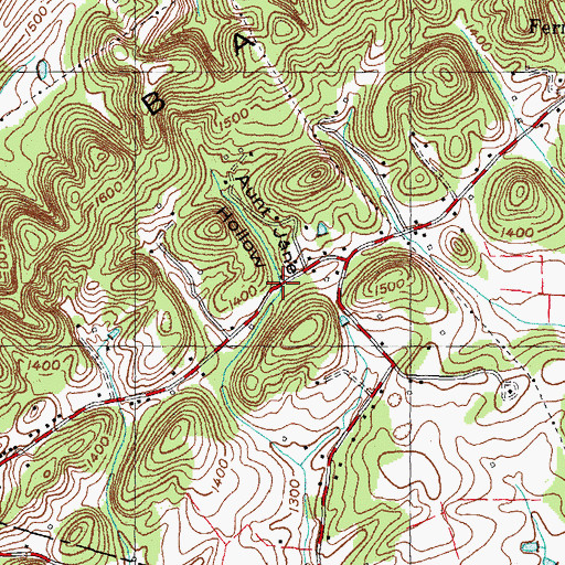 Topographic Map of Aunt Jane Hollow, TN