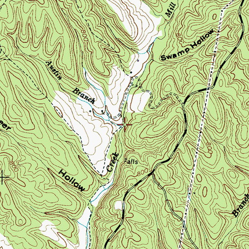 Topographic Map of Austin Branch, TN