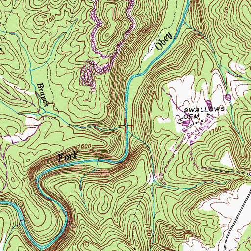 Topographic Map of Austin Branch, TN
