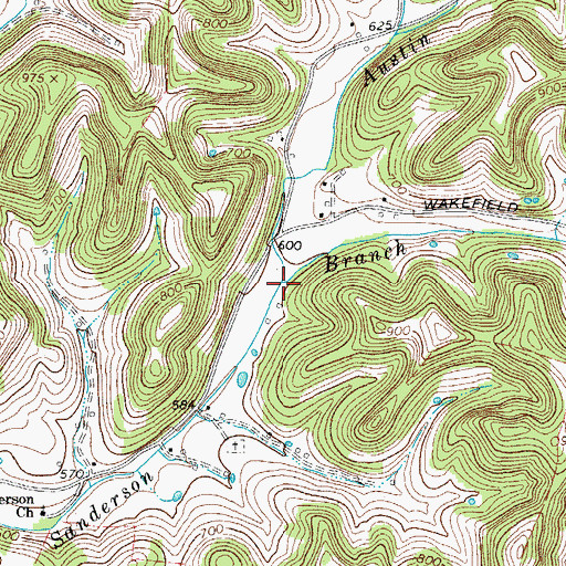 Topographic Map of Austin Branch, TN