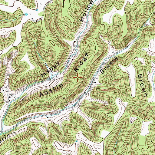Topographic Map of Austin Ridge, TN