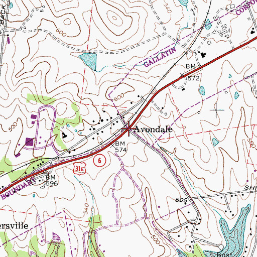 Topographic Map of Avondale, TN