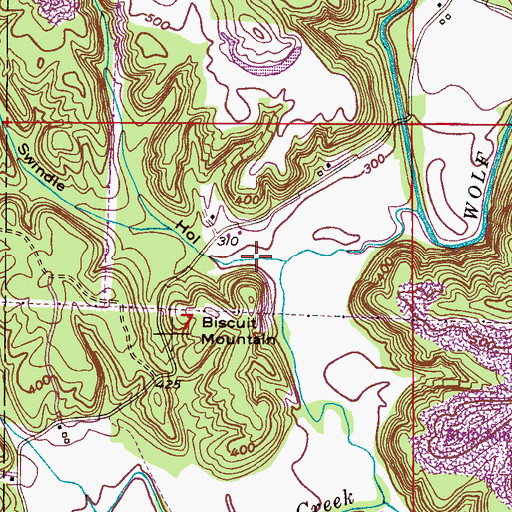 Topographic Map of Swindle Hollow, AL