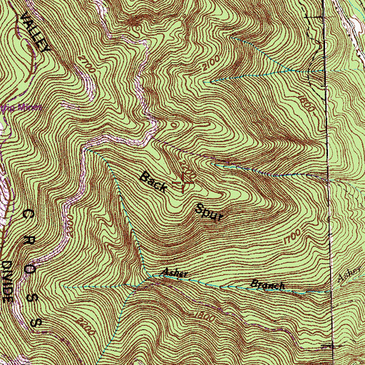 Topographic Map of Back Spur, TN