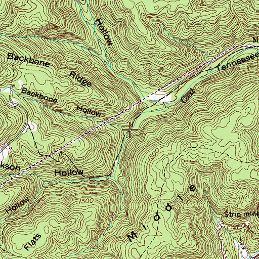 Topographic Map of Backbone Hollow, TN