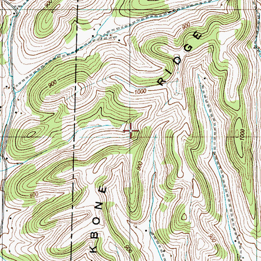 Topographic Map of Backbone Ridge, TN