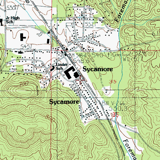 Topographic Map of Sycamore, AL