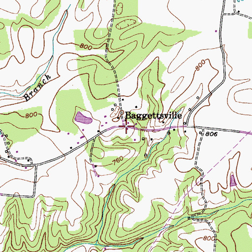 Topographic Map of Baggettsville, TN