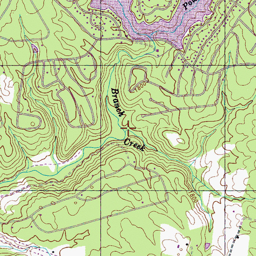 Topographic Map of Bagwell Branch, TN