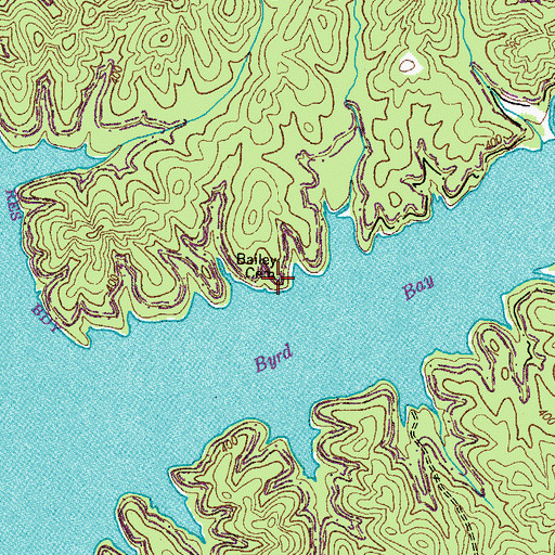 Topographic Map of Bailey Cemetery, TN