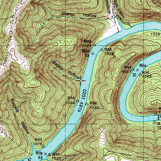 Topographic Map of Bailey Hollow, TN