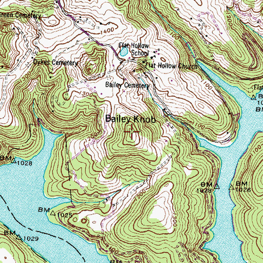 Topographic Map of Bailey Knob, TN