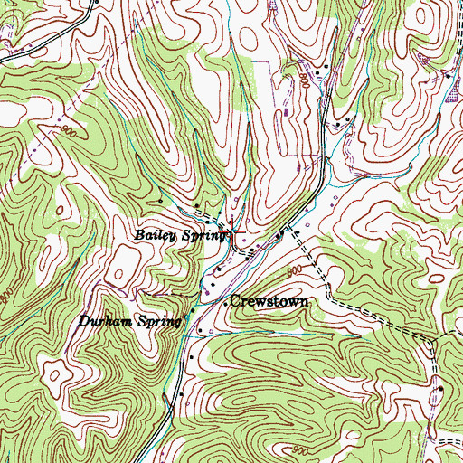 Topographic Map of Bailey Spring, TN