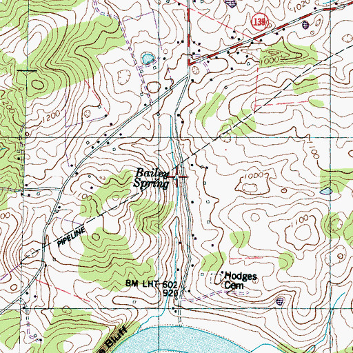 Topographic Map of Bailey Spring, TN