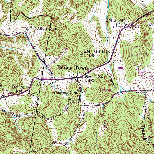 Topographic Map of Bailey Town, TN