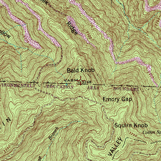 Topographic Map of Bald Knob, TN