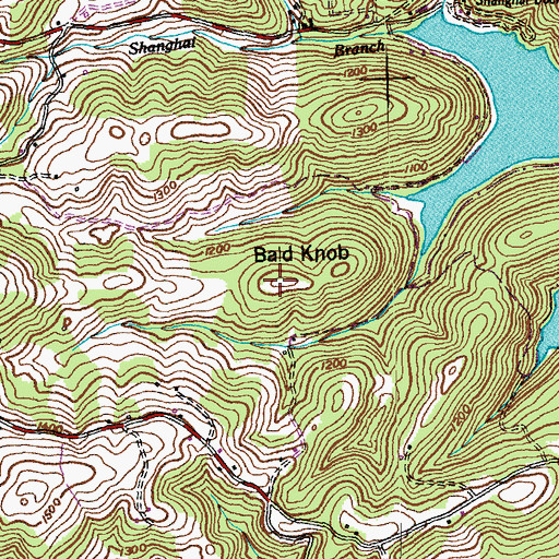 Topographic Map of Bald Knob, TN