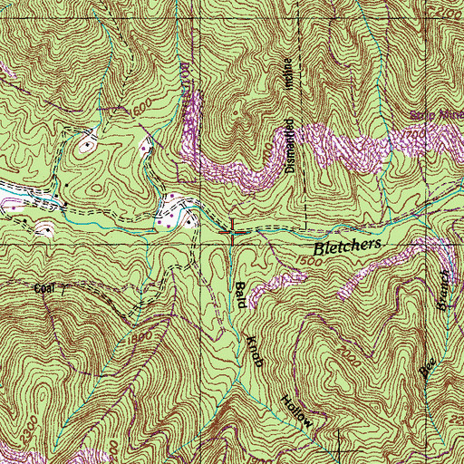 Topographic Map of Bald Knob Hollow, TN