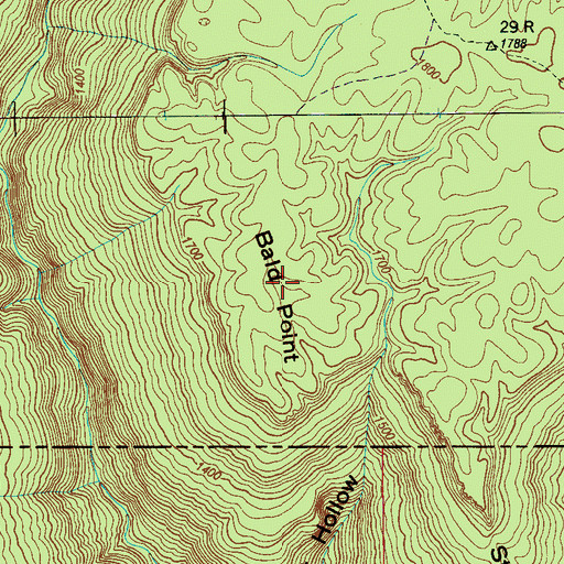 Topographic Map of Bald Point, TN