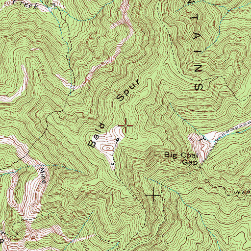 Topographic Map of Bald Spur, TN