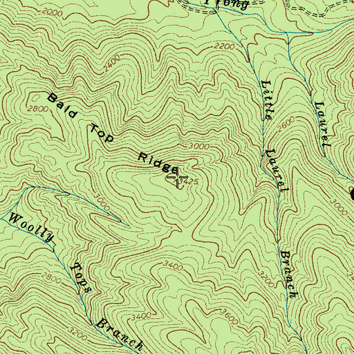 Topographic Map of Bald Top Ridge, TN