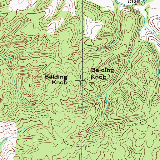 Topographic Map of Balding Knob, TN