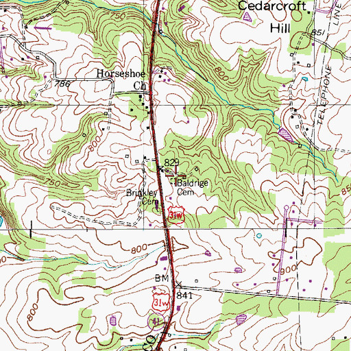 Topographic Map of Baldrige Cemetery, TN