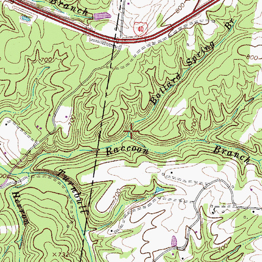 Topographic Map of Ballard Spring Branch, TN