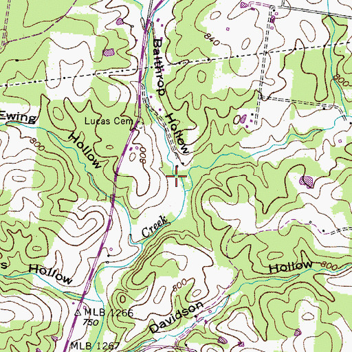 Topographic Map of Balthrop Hollow, TN