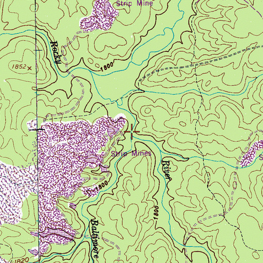 Topographic Map of Baltimore Branch, TN