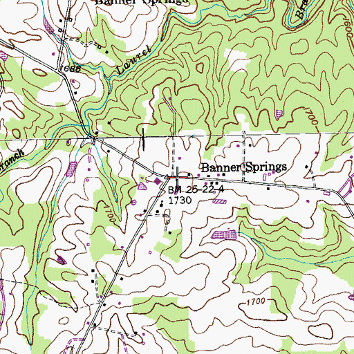 Topographic Map of Banner Springs, TN