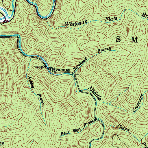 Topographic Map of Barehead Branch, TN