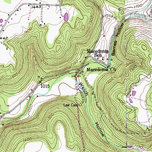 Topographic Map of Barnes Hollow, TN