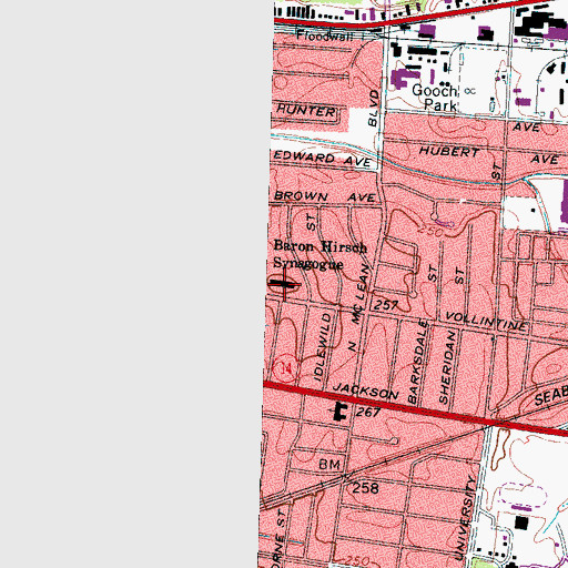 Topographic Map of Baron Hirsch Synagogue, TN