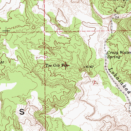Topographic Map of Tse Gis Toh, AZ