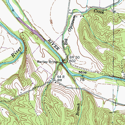 Topographic Map of Bartley Bridge, TN