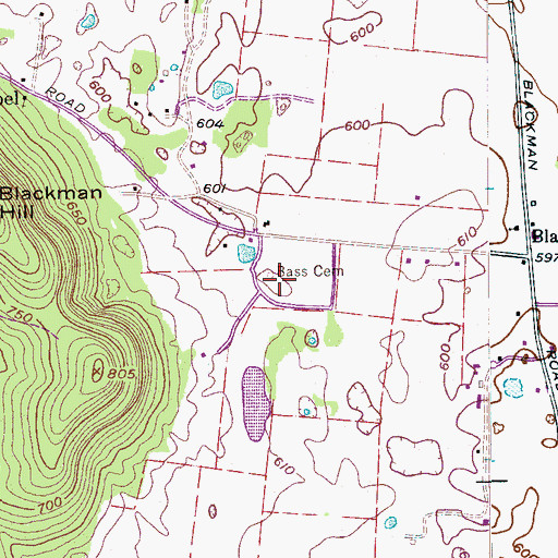 Topographic Map of Bass Cemetery, TN